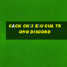 cách chơi bầu cua trong discord