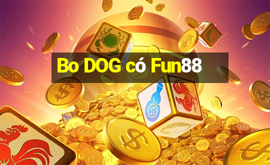 Bo DOG có Fun88