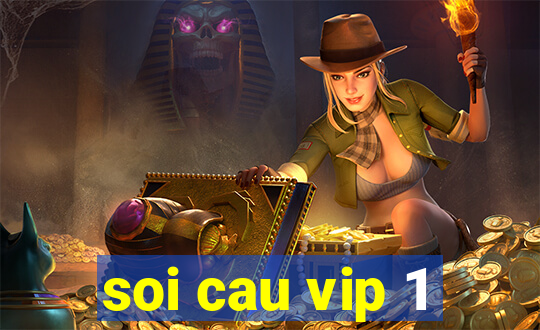 soi cau vip 1