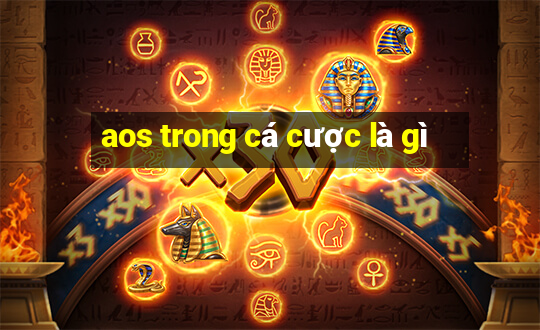 aos trong cá cược là gì