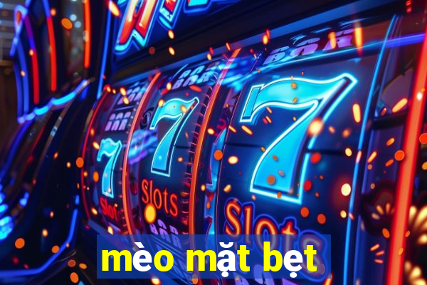 mèo mặt bẹt