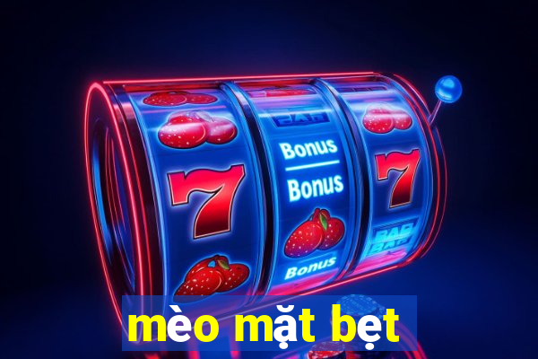 mèo mặt bẹt