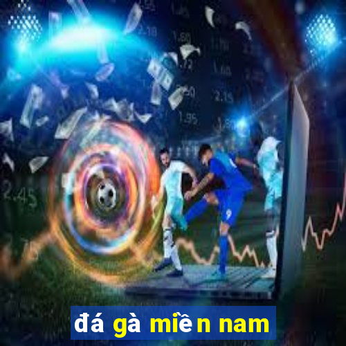 đá gà miền nam