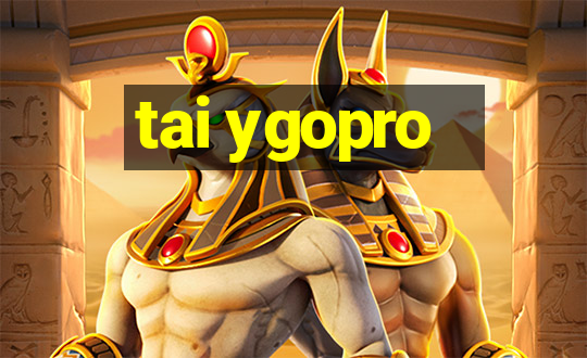 tai ygopro