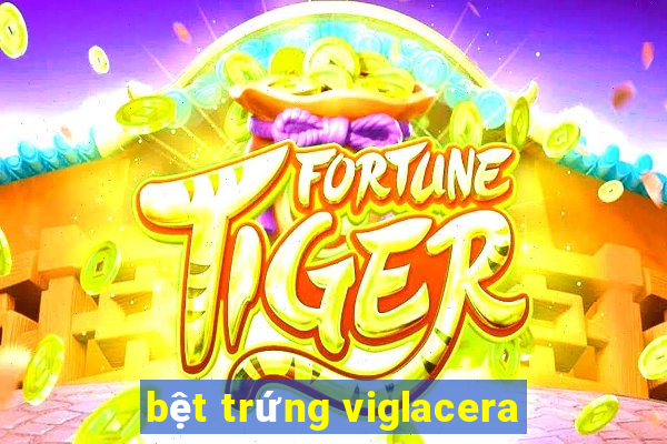 bệt trứng viglacera