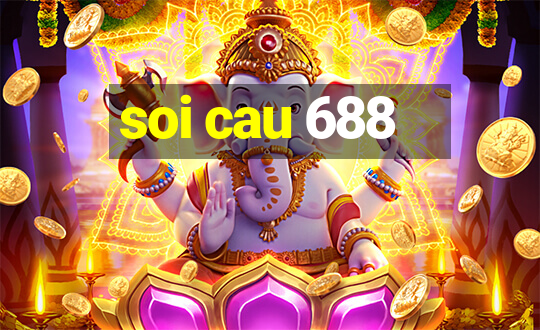 soi cau 688