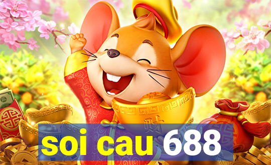 soi cau 688