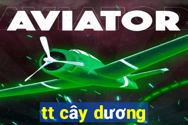 tt cây dương