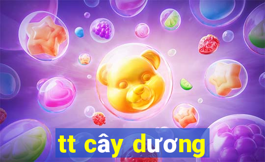 tt cây dương