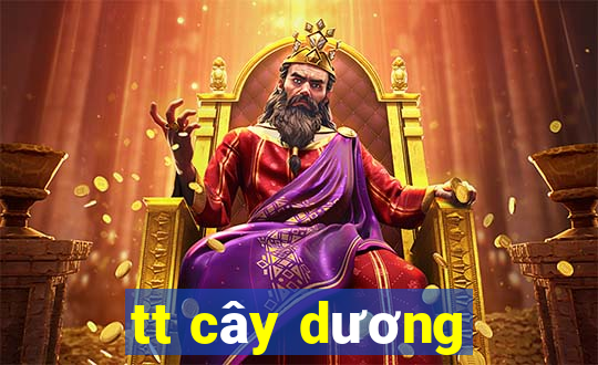 tt cây dương