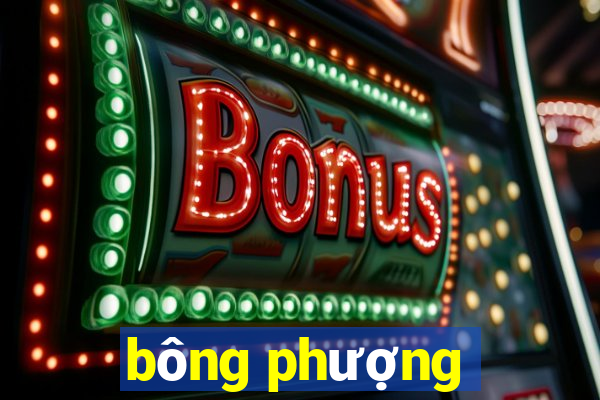 bông phượng