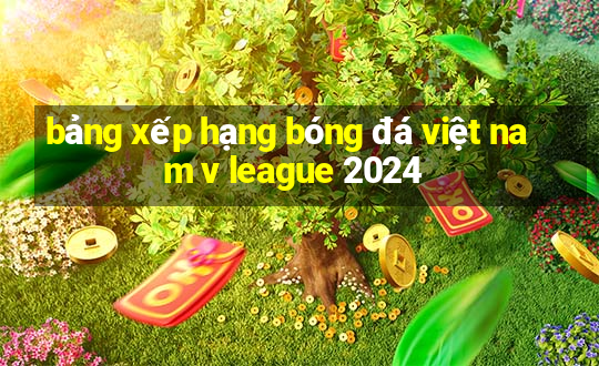 bảng xếp hạng bóng đá việt nam v league 2024