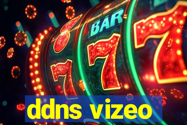 ddns vizeo