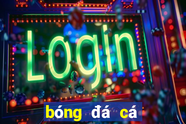 bóng đá cá cược 88