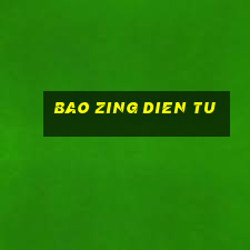 bao zing dien tu