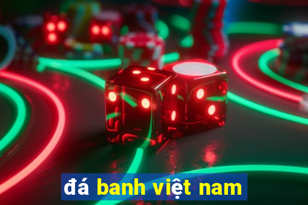 đá banh việt nam