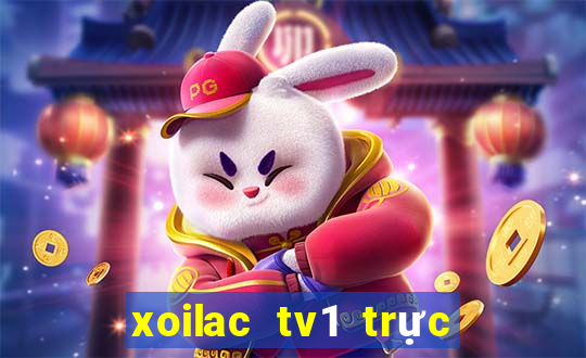 xoilac tv1 trực tiếp bóng đá