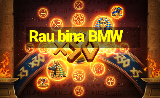 Rau bina BMW