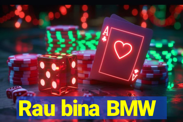 Rau bina BMW