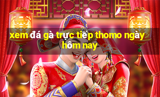 xem đá gà trực tiếp thomo ngày hôm nay