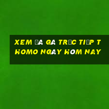 xem đá gà trực tiếp thomo ngày hôm nay