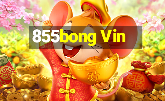 855bong Vin