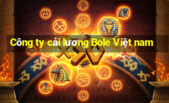 Công ty cải lương Bole Việt nam