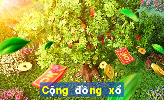 Cộng đồng xổ số miền bắc