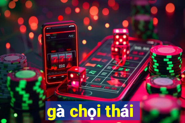 gà chọi thái