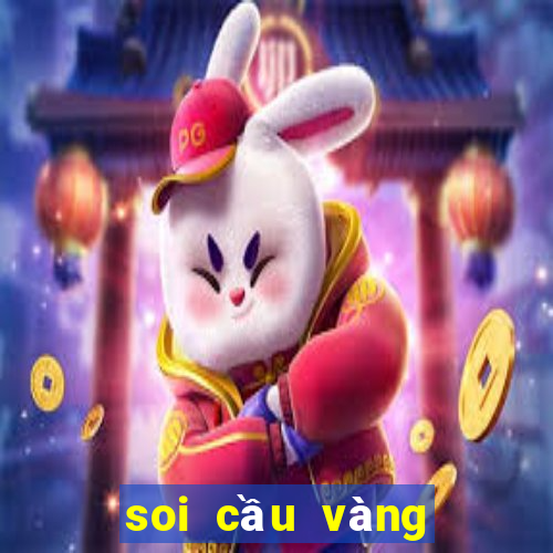 soi cầu vàng miền trung