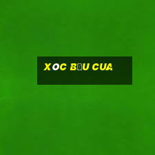 xóc bầu cua