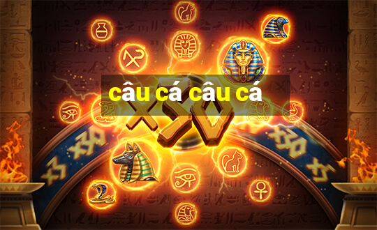 câu cá câu cá