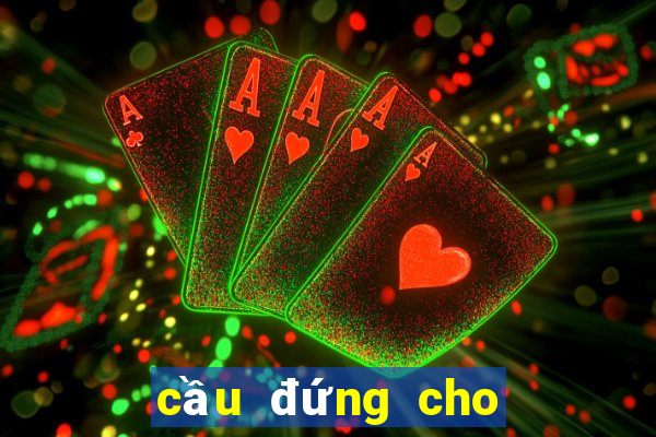 cầu đứng cho gà tre