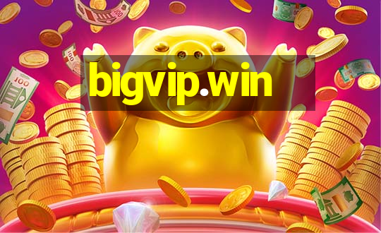 bigvip.win