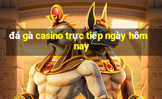 đá gà casino trực tiếp ngày hôm nay