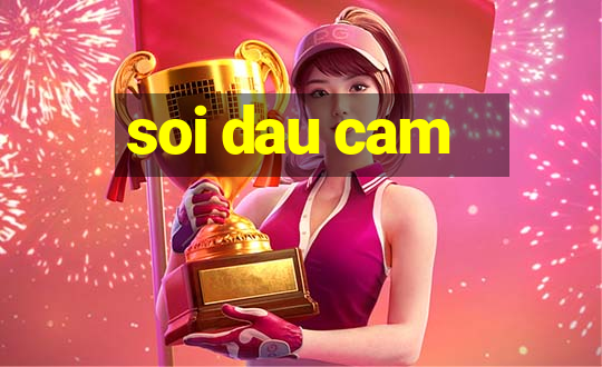 soi dau cam