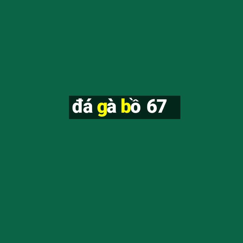 đá gà bồ 67