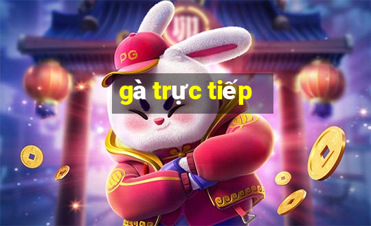 gà trực tiếp