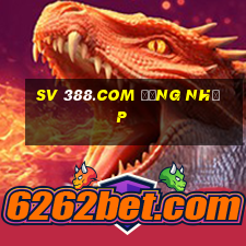 sv 388.com đăng nhập