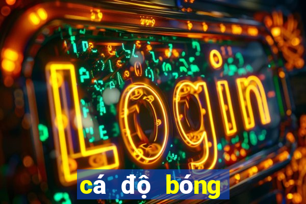 cá độ bóng đá club