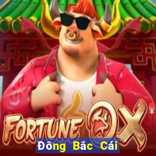 Đông Bắc Cái Pa c