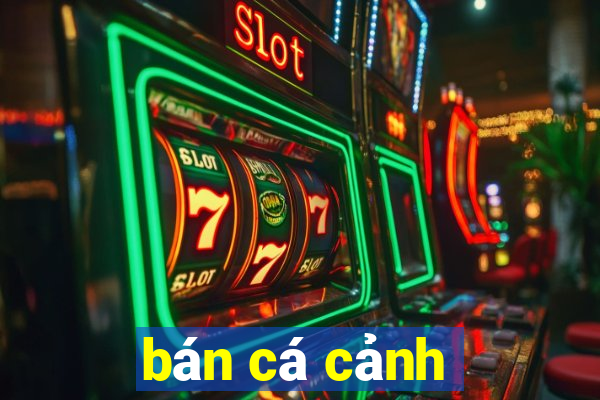 bán cá cảnh