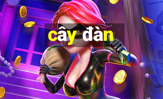 cây đàn