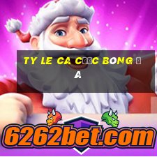 ty le ca cược bóng đá