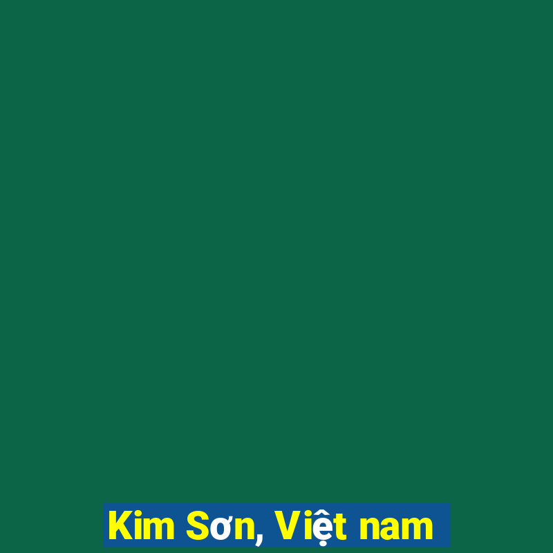 Kim Sơn, Việt nam