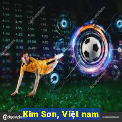 Kim Sơn, Việt nam