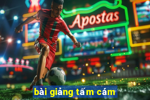 bài giảng tấm cám