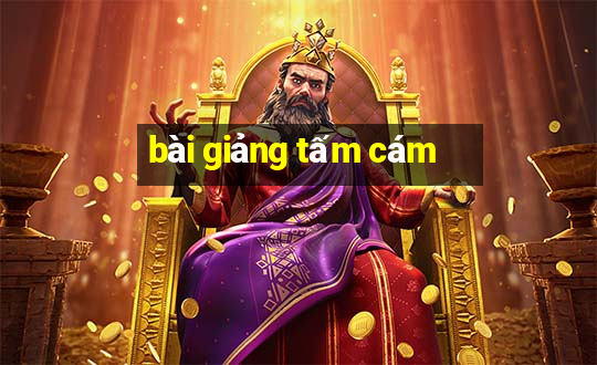 bài giảng tấm cám