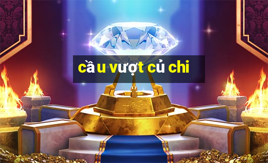 cầu vượt củ chi