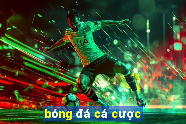 bóng đá cá cược